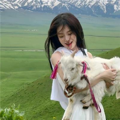 迷失故里 海报