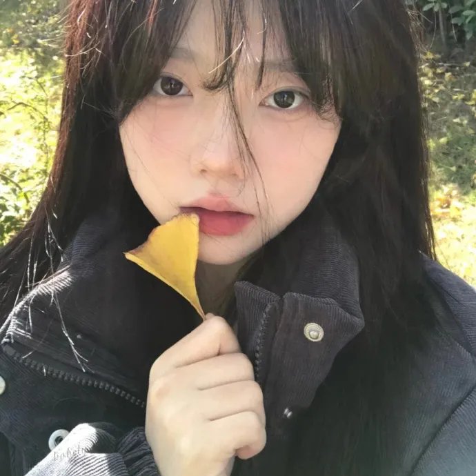 血婚 海报